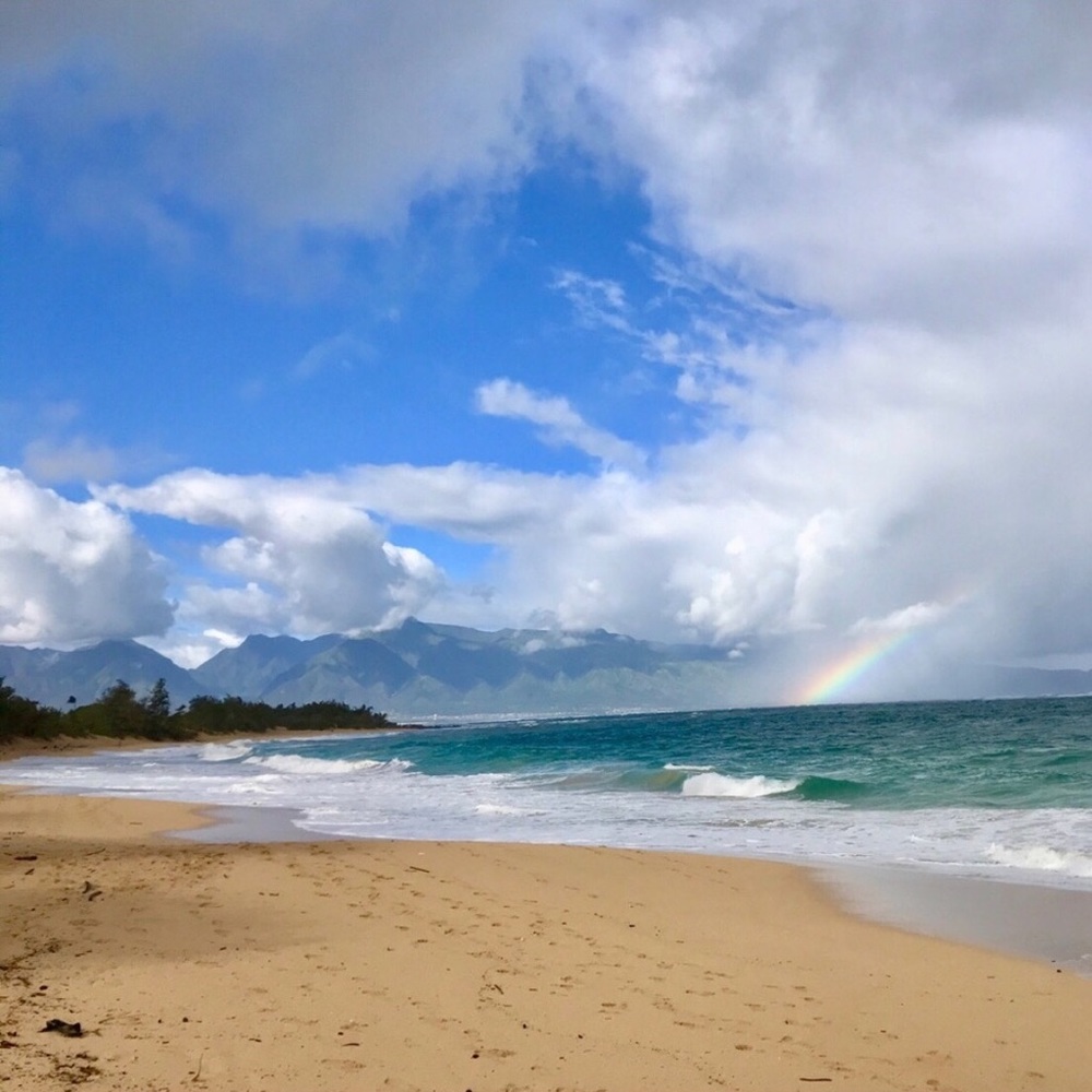 🍹🍍Maui 📷 🌿🌸 🌈 - Picture 4 of 8